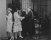 Sensation Seekers - Combo Blu-ray + DVD