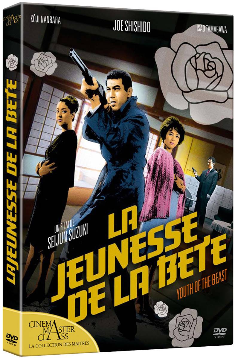 DVD Jeunesse