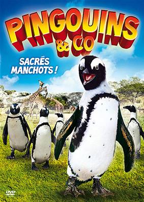 Pingouins & Co - DVD