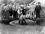 Chanteuse de Cabaret - Blu-ray single